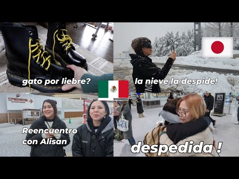 reencuentro con Alisan+regresea a Mexico