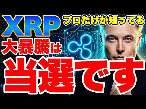 【XRP】ビットコイン暴落の裏でクジラが過去最大の爆買い…リップル20万円保有者だけが知る5つの裏事情