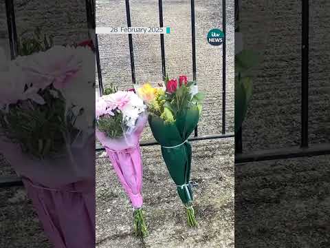 Teenager killed in Bristol dog attack named #itvnews #bristol #breakingnews #xlbully