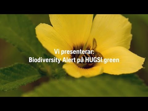 HUGSI.green Biodiversity Alert