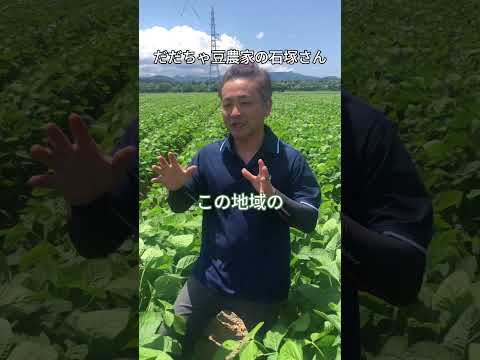 だだちゃ豆農家の石塚さんに質問してみた #清川屋