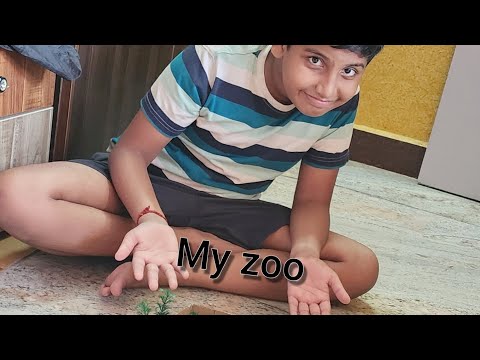 CARBOARD HOUSE .REUPLOAD.