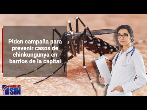 Alerta por la inminente llegada de la chikungunya