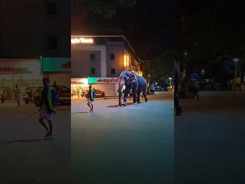 ആര് കണ്ടാലും ഒന്ന് നോക്കിനിന്നുപോകും 😱😱#shortsfeed #shorts #viral #subscribe