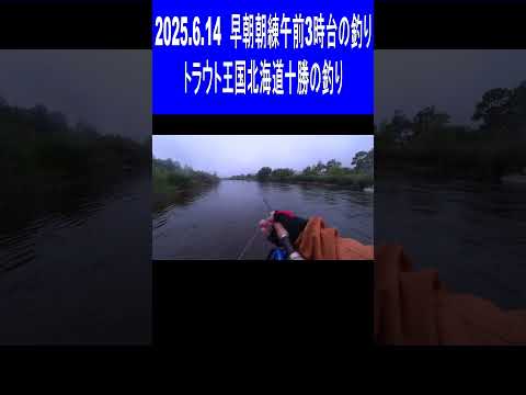 2025.6.14 早朝朝練 午前3時台の釣り トラウト王国北海道十勝の釣り つり部会ガイドサービス