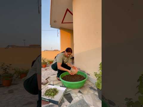 Don’t underestimate gardening 🧑🌾 ❎🪴 #shorts #ytshorts #short