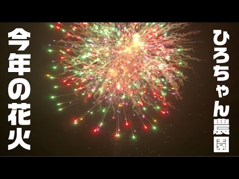 【ひろちゃん農園から観る花火】今年もこの季節がやってきました【ひろちゃんはでません】