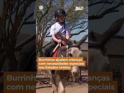 Burrinhos ajudam crianças com necessidades especiais nos Estados Unidos #FalaBrasil #Shorts