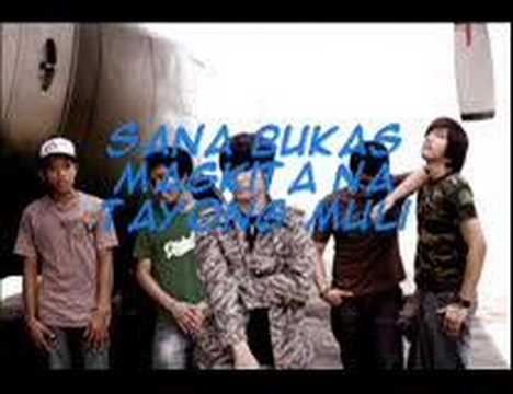 callalily- muli