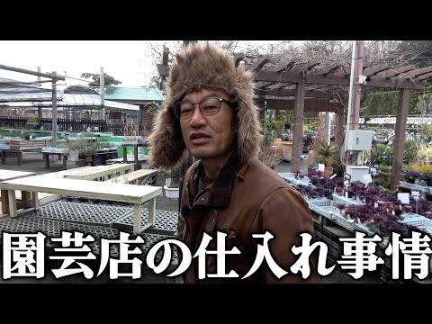 【園芸店】表に出ない仕入れ事情と現実【カーメン君】【園芸】【ガーデニング】