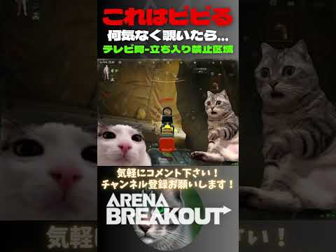 これはビビるw何気なく覗いたら…🙀テレビ局-立ち入り禁止区域【Arena Breakout】#arenabreakout #暗区突围 #アリーナブレイクアウト #fps