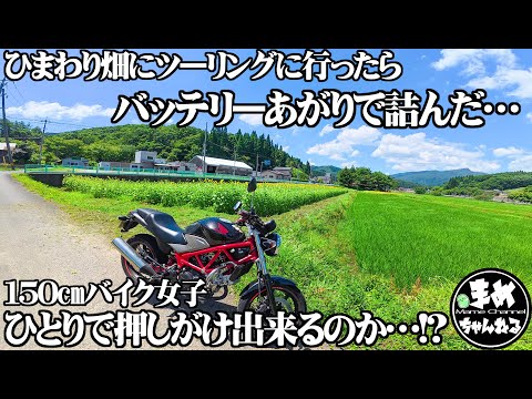 【モトブログ バイク女子】ひまわり求めてたどり着いたひまわり畑に感動！堪能！走行不能？夏と言えばひまわり！やっとの休日一人で出かけた先でバッテリーがあがって動けなくなった150㎝女子ぼっちライダー