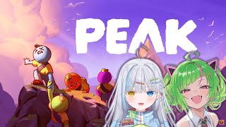 【コラボ】山登り2人で最後までたどり着けるか？！【Vtuber】