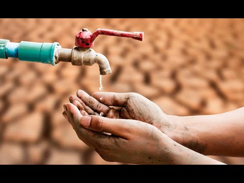 Día Mundial del Agua: Conoce su importancia y la necesidad de combatir la escasez