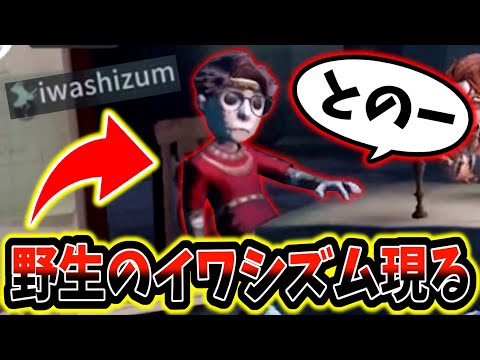 【第五人格】第五芸人iwashizumのチェイスが上手くて草【identityV】【アイデンティティV】