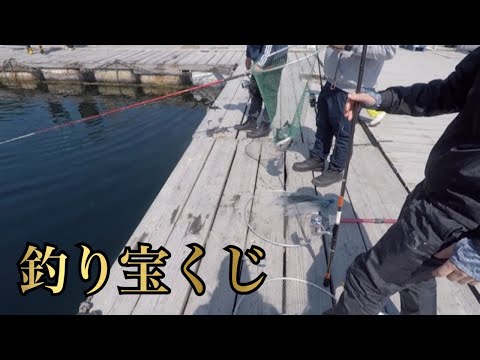 【密着】『釣り宝くじ』を見学してみた【水宝】釣ガチ海上釣堀#229