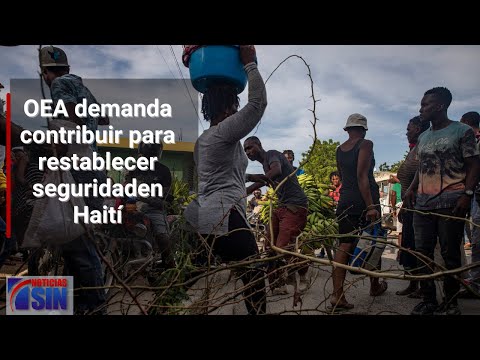 OEA demanda contribuir para restablecer seguridad, fortalecer democracia y proteger derechos a Haití