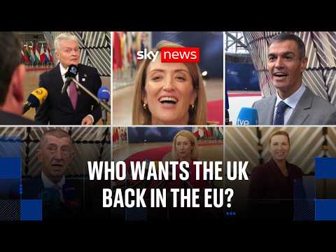 We asked European ministers whether Britain should rejoin the EU... this is what they said
