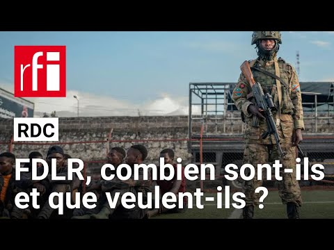 RDC : «En 30 ans en brousse, les FDLR ont appris à échapper à beaucoup de tentatives de désarmement»
