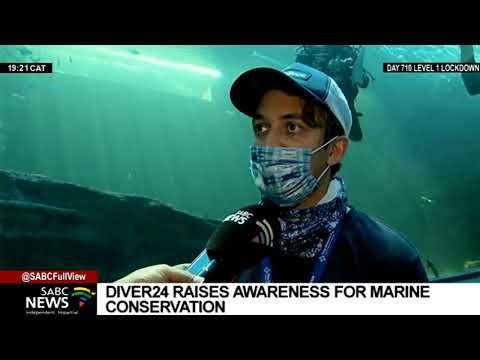UCT's Underwater Club divers spent 24 hours scuba diving in Two Oceans Aquarium