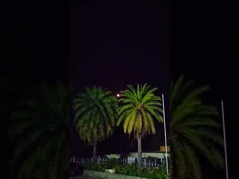 #سورة_الإخلاص #ikhlas #trending #nature #المصحف #beautifulquran #beautiful #egzonibrahimi