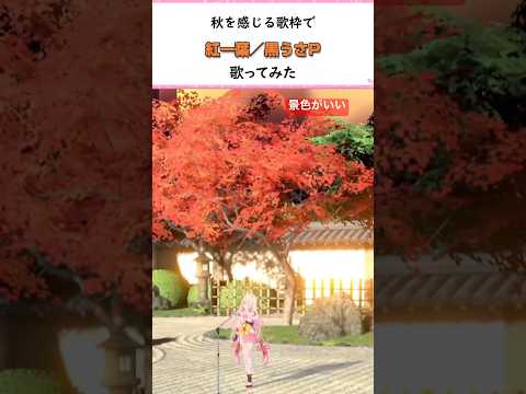 thumbnail_1yZZCupB04U