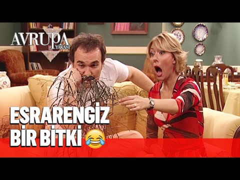 Özlem en sevdiği bitkiyi Burhan'a emanet etti🙄 - Avrupa Yakası