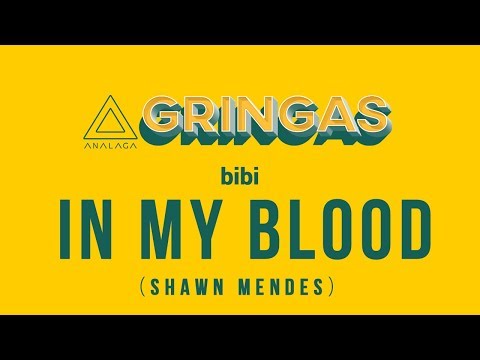 bibi - In My Blood [Shawn Mendes] (GRINGAS)