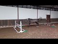 Show jumping horse Amazing 3 year old mare for TOP sport or TOP breeding