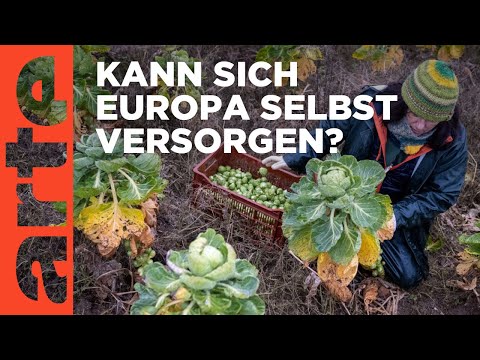 Kann Europa sich selbst ernähren? | ARTE Hintergrund