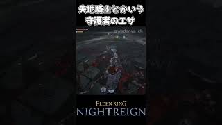 【ナイトレイン】失地騎士とかいう守護者のエサ【エルデンリング】