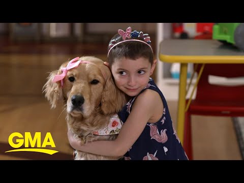 Meet the trained dogs for pediatric patients