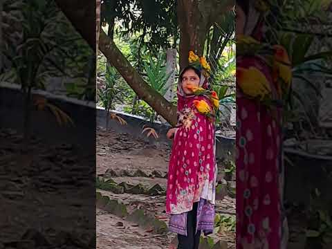 আমি যখন বাড়ির বাহিরে যায়, পাখি গুলো আমার সাথে যায়🦅🕺🧑🤝🧑 #poshapakhi #birds #talkingparot #parrot