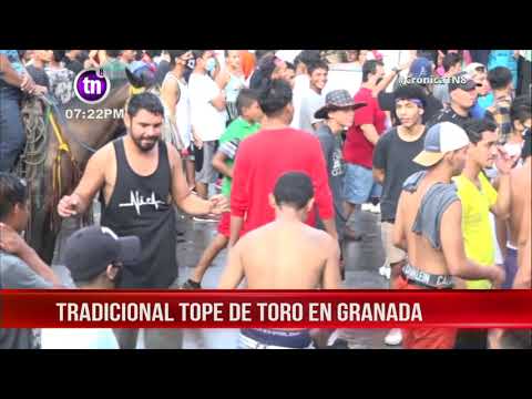 Granadinos participan del tradicional tope de toros - Nicaragua