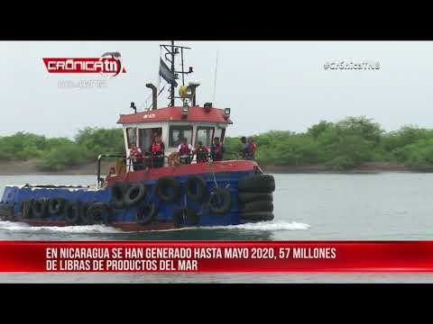Nicaragua ha exportado más de 40 millones de libras de productos del mar