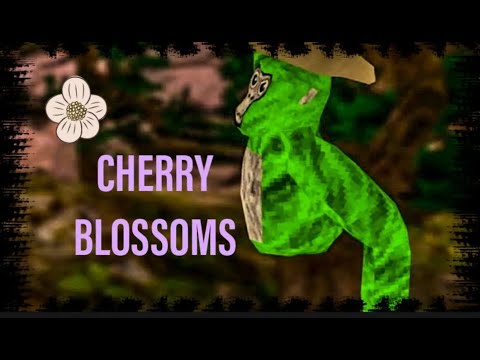 cherryblossomsl l gtag montage