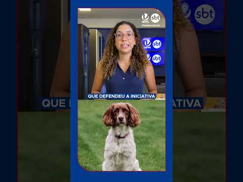 Projeto Orelha sugere Dia Municipal em memória de animais vítimas de maus-tratos