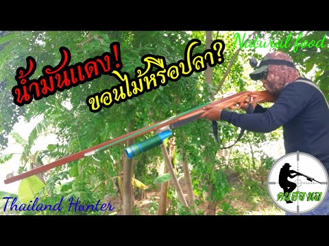 #SHOOT-FISH-ยิงปลาน้ำแดง-เห็นแ #SHOOT-FISH-ยิงปลาน้ำแดง-เห็นแ