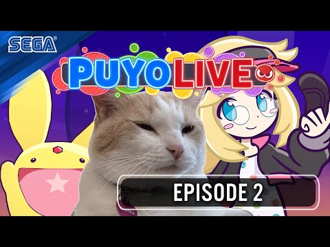 PuyoLive Episode 2 - "Puyo Puyo Pet Party!" (Puyo Puyo Puzzle Pop)