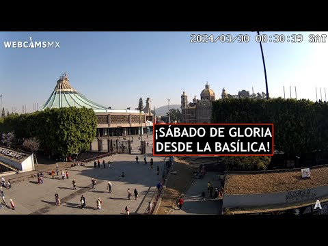 ? #CDMX | Así viven los fieles el #SabadoDeGloria. La Basílica #EnVivo