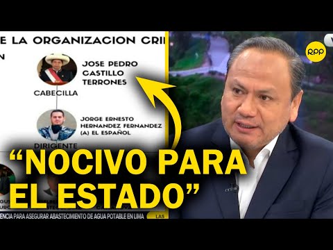 Mariano González: Pedro Castillo fue nocivo para el Estado peruano