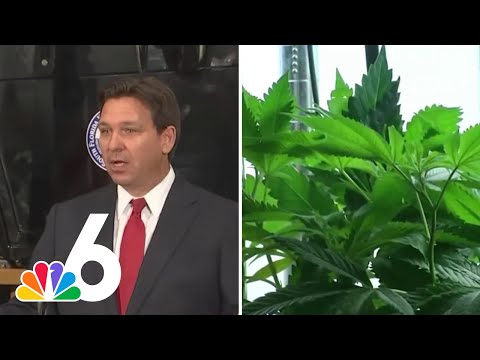 DeSantis addresses adult-use marijuana in Florida