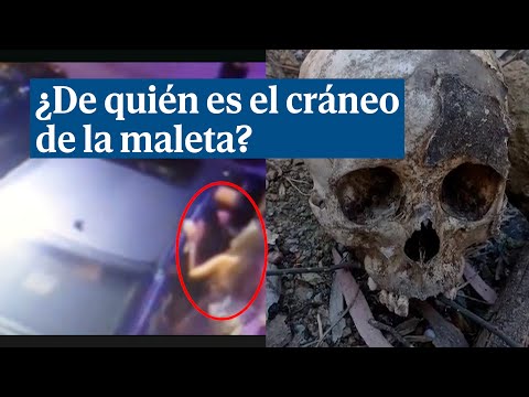 El cráneo de la maleta podría ser el de Agnese Klavina, desaparecida en Puerto Banús en 2014