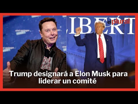 Trump designará a Elon Musk para liderar un comité que audite las medidas del Gobierno si gana