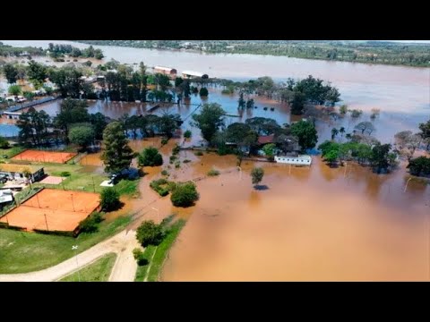 Inundación en Concordia: uno no se imagina lo que sufre la gente que tiene el agua en la casa