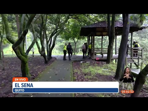 Policía realiza un operativo de desalojo de habitantes de calle en la quebrada de El Sena, en Quito