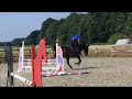 Show jumping horse Chique allrounder