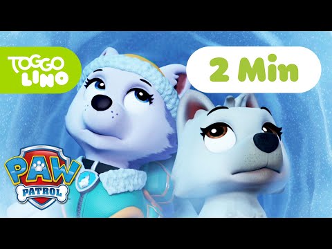 PAW Patrol Deutsch | Everest und der Polarwolf | Helfer auf vier Pfoten | Toggolino Serien