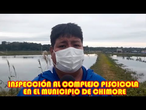 INSPECCIÓN AL COMPLEJO PSCICOLA EN EL MUNICIPIO DE CHIMORE  POR MUNICIPIO Y GOBERNACIÓN...