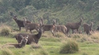 Horton Plains National Park